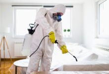 شركة مكافحة وتعقيم بالرياض