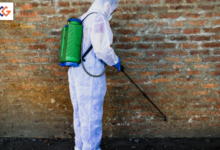 افضل انواع مبيد النمل الابيض