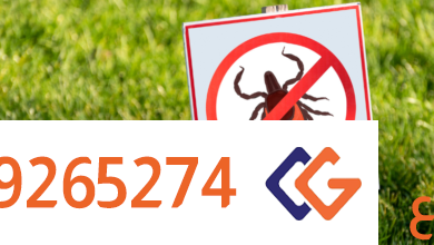 شركة مكافحة حشرات ببقيق