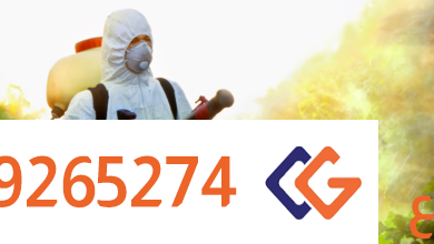 شركة مكافحة حشرات بتبوك