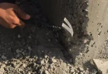 التعشيش في الاعمدة