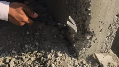 التعشيش في الاعمدة